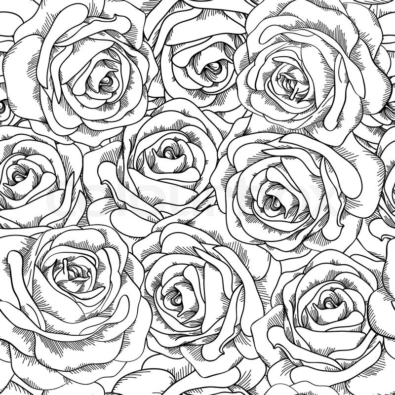 800x800 Black And White Seamless Background. Roses Hand Drawn. Stock