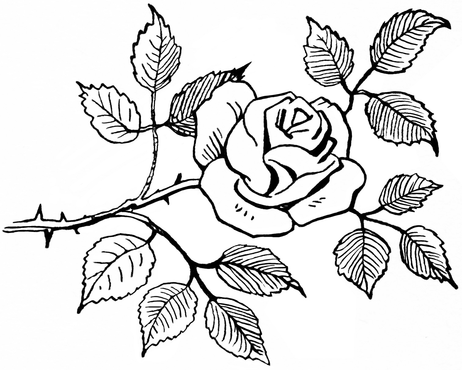 1512x1212 Rose Drawing Black And White Old Design Shop ~ Free Digital Image