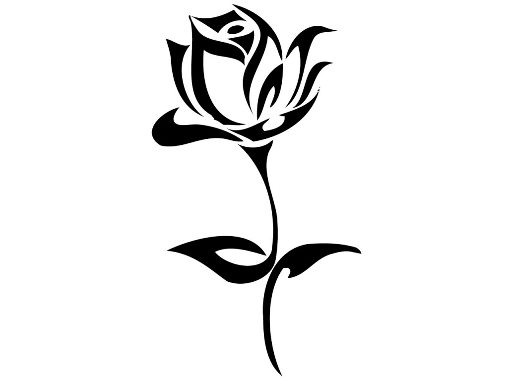 1024x768 Black And White Drawing Of A Rose Black And White Rose Drawing