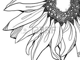 259x194 Image Result For Black And White Sunflower Patterns