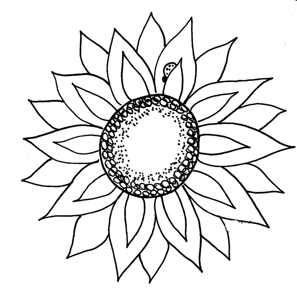1020x1024 Sunflower Clipart Black And White Clip Art