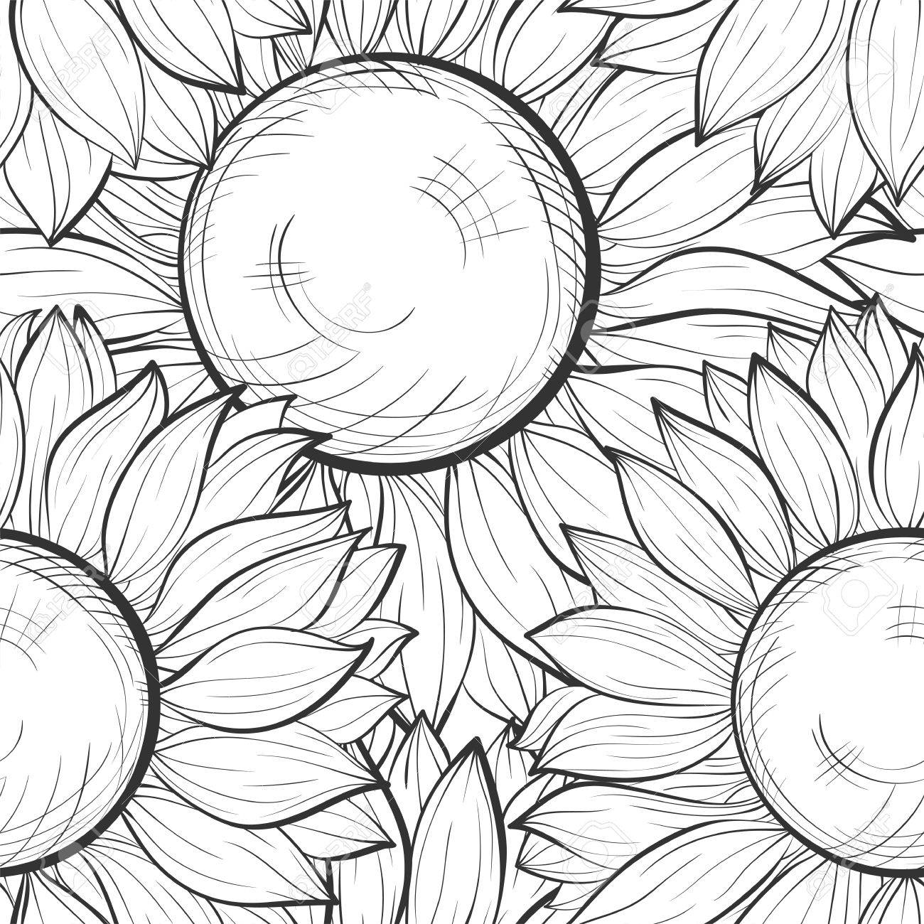 1300x1300 Beautiful Black And White Seamless Background With Sunflowers