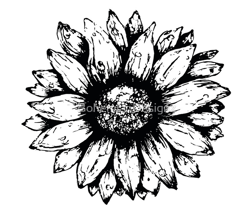 800x680 Black Amp White Sunflower Wall Tapestries By Bohemiandesignz