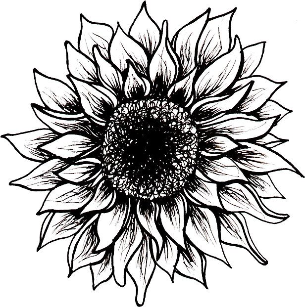 616x621 Black And White Sunflower Stickers By Juliahealyy Redbubble