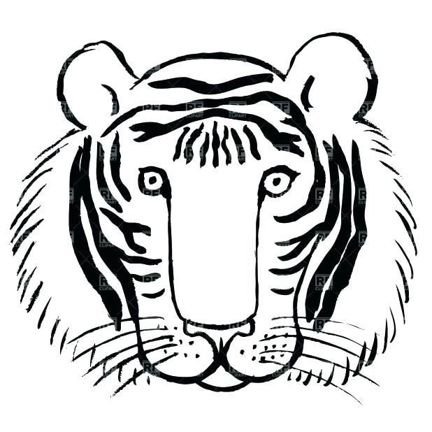 618x618 Tiger Coloring Book Plus White Tiger Coloring Pages Tiger Black