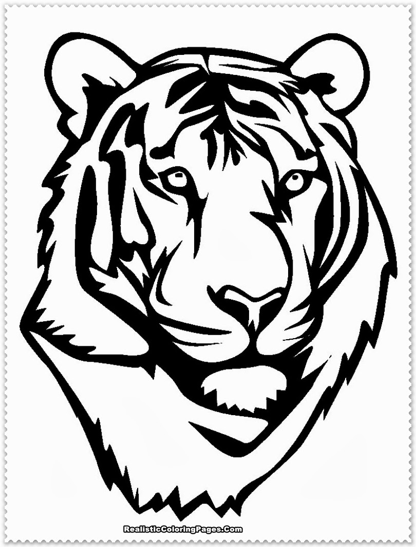 810x1066 White Tiger Head Printables