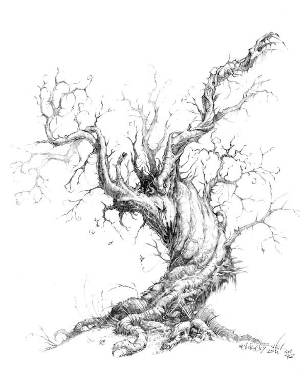 Black And White Tree Drawing