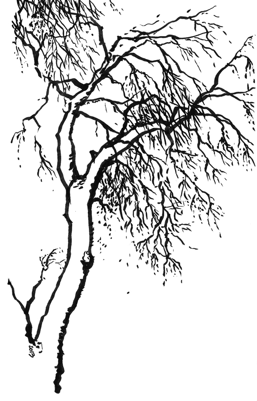 512x800 Black And White Seeing.thinking.drawing