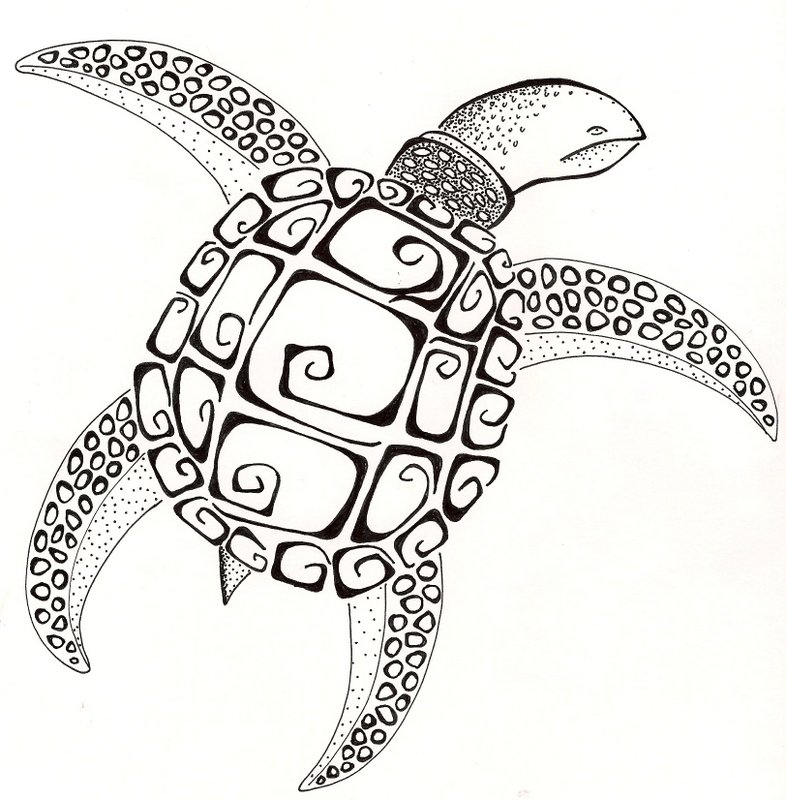786x800 Sea Turtle Original Drawing Black And White Ginaleecincotta@gmail