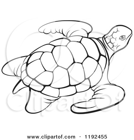 450x470 Clipart Of A Black And White Sea Turtle