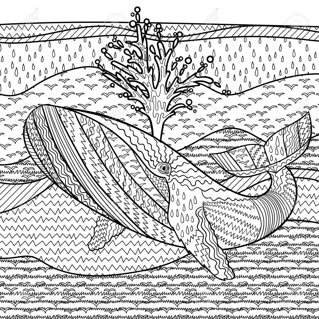 1300x1300 Hand Drawn Humpback Whale In The Waves For Anti Stress Coloring