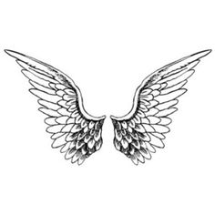 236x236 Black Angel Wing