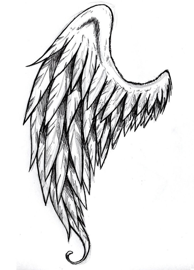 736x1025 How To Draw Wings Angel