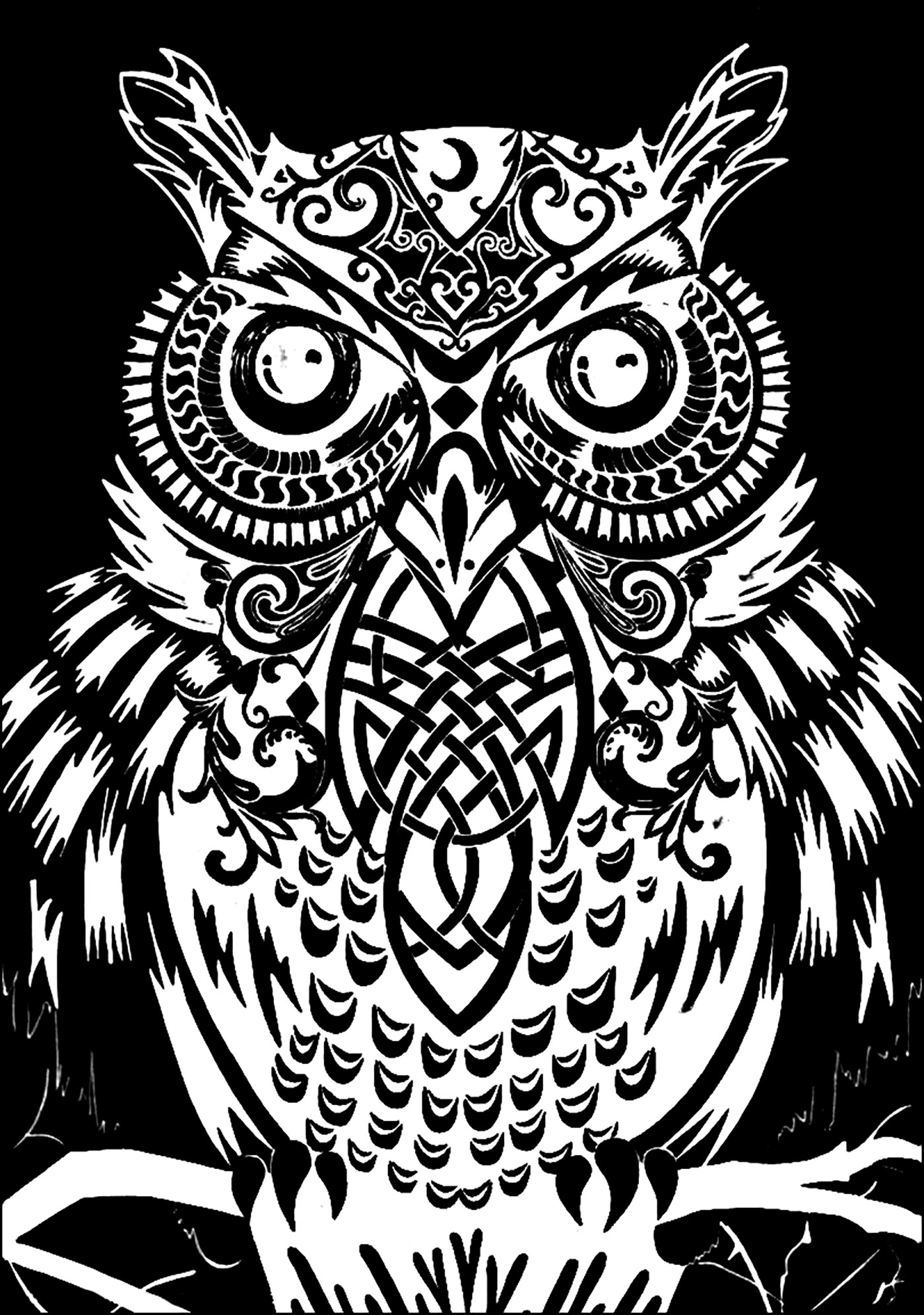 1400x1991 Owl Black Background Owls