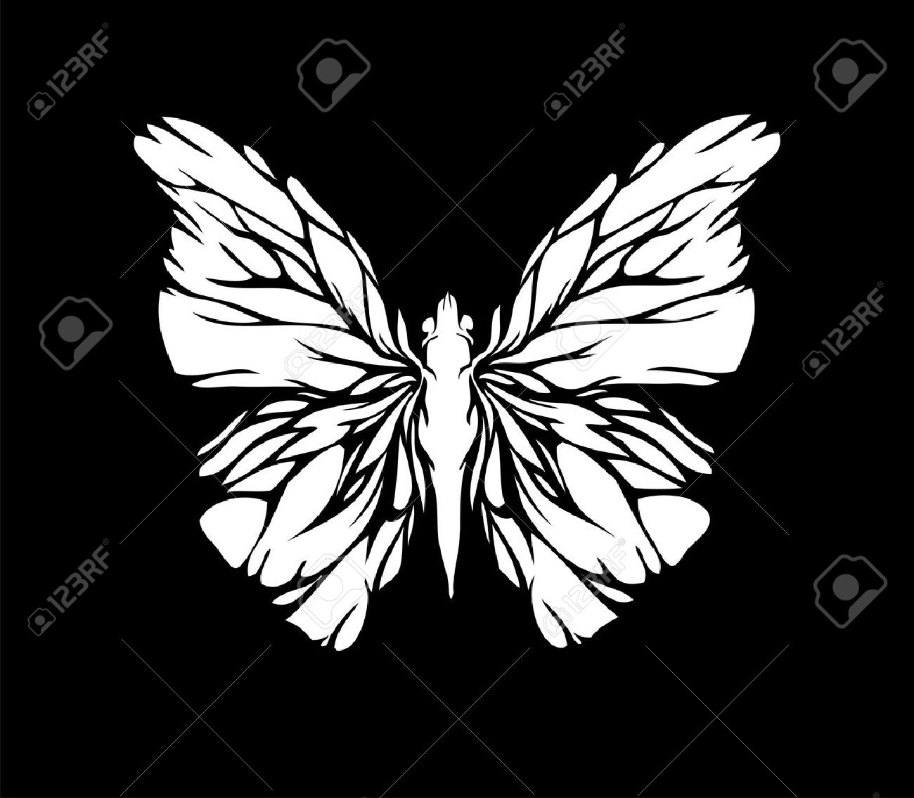 1300x1135 White Butterfly On Black Background Royalty Free Cliparts, Vectors