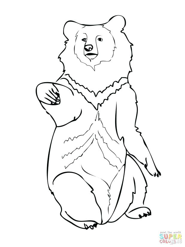 618x824 Black Bear Coloring Pages Coloring Trend Medium Size Bear Black