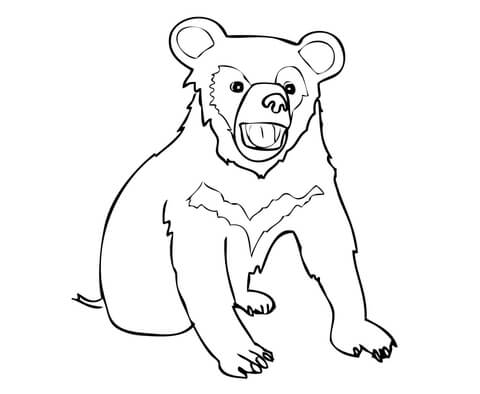 480x394 Asia Black Bear Cub Coloring Page Free Printable Coloring Pages