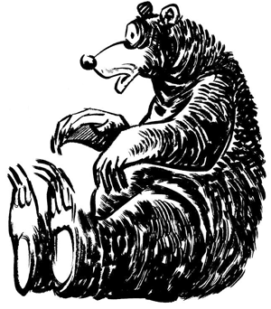 300x342 How To Draw Black Bears In Easy Step By Step Drawing Tutorial