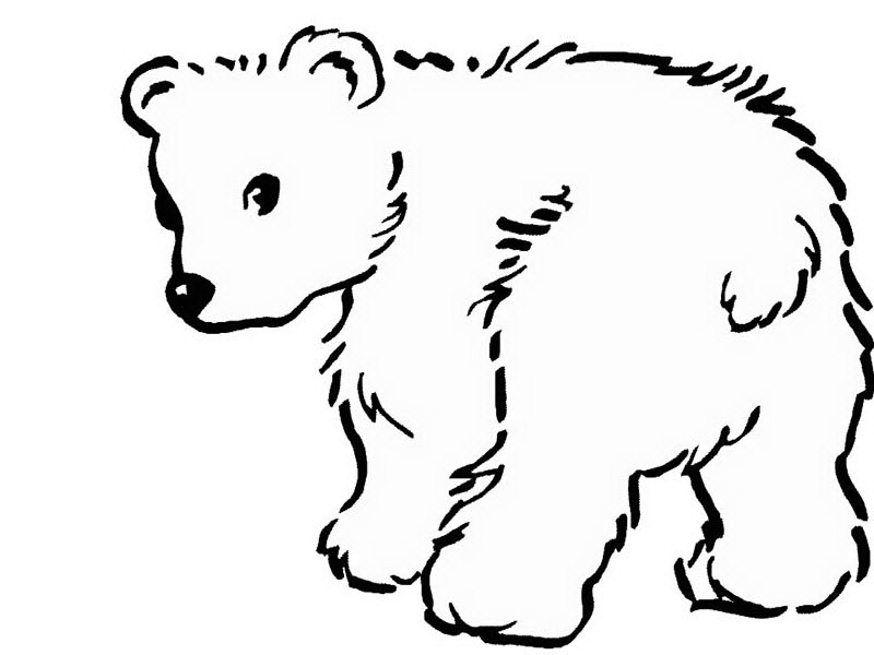 Black Bear Line Drawing at GetDrawings | Free download