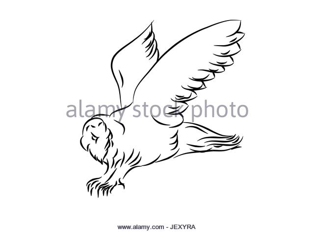 640x473 Pen And Ink Bird Drawing Stock Photos Amp Pen And Ink Bird Drawing