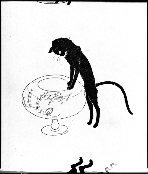 500x588 Fileanimal Cat Black Cat Watching Fish Bowl.jpg