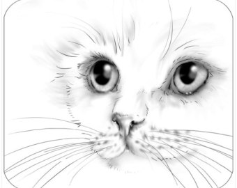 340x270 Face Drawing Etsy