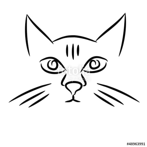 500x500 Cat Face Sketch Stock Image And Royalty Free Vector Files