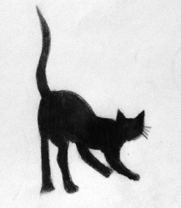 Black Cats Drawing