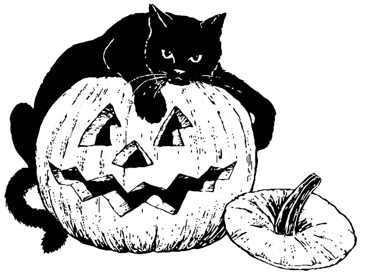 1200x865 Coloring Page Black Cat On Pumpkin