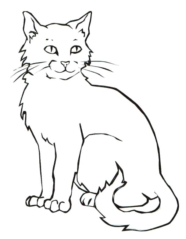 Black Cats Drawing at GetDrawings | Free download
