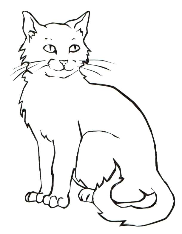 610x784 Halloween Cats Coloring Pages Black Cat Coloring Page Free