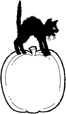 279x480 Black Cat Is Standing On A Pumpkin Coloring Page Free Printable