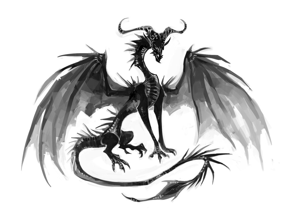 1024x784 Black Dragon By Drkav