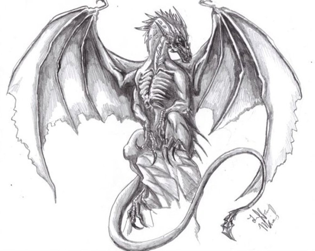 1001x798 Proud Black Dragon Sketch By Tiffawolf