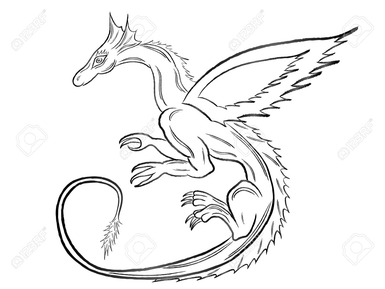 1300x975 Black Dragon During The Flight Isolated On White Background