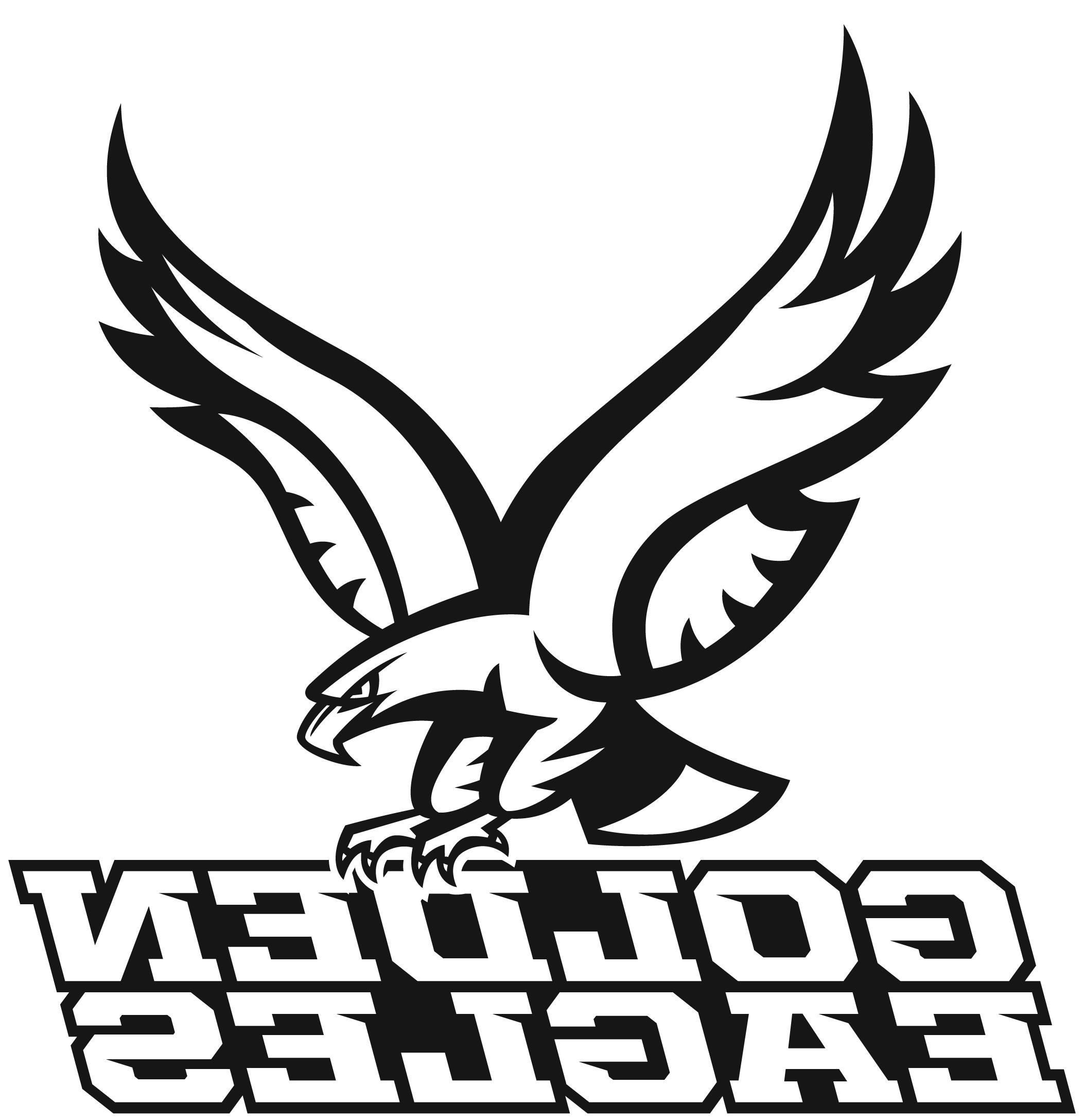 2106x2175 Best 15 Black Eagle Clipart Blue Design