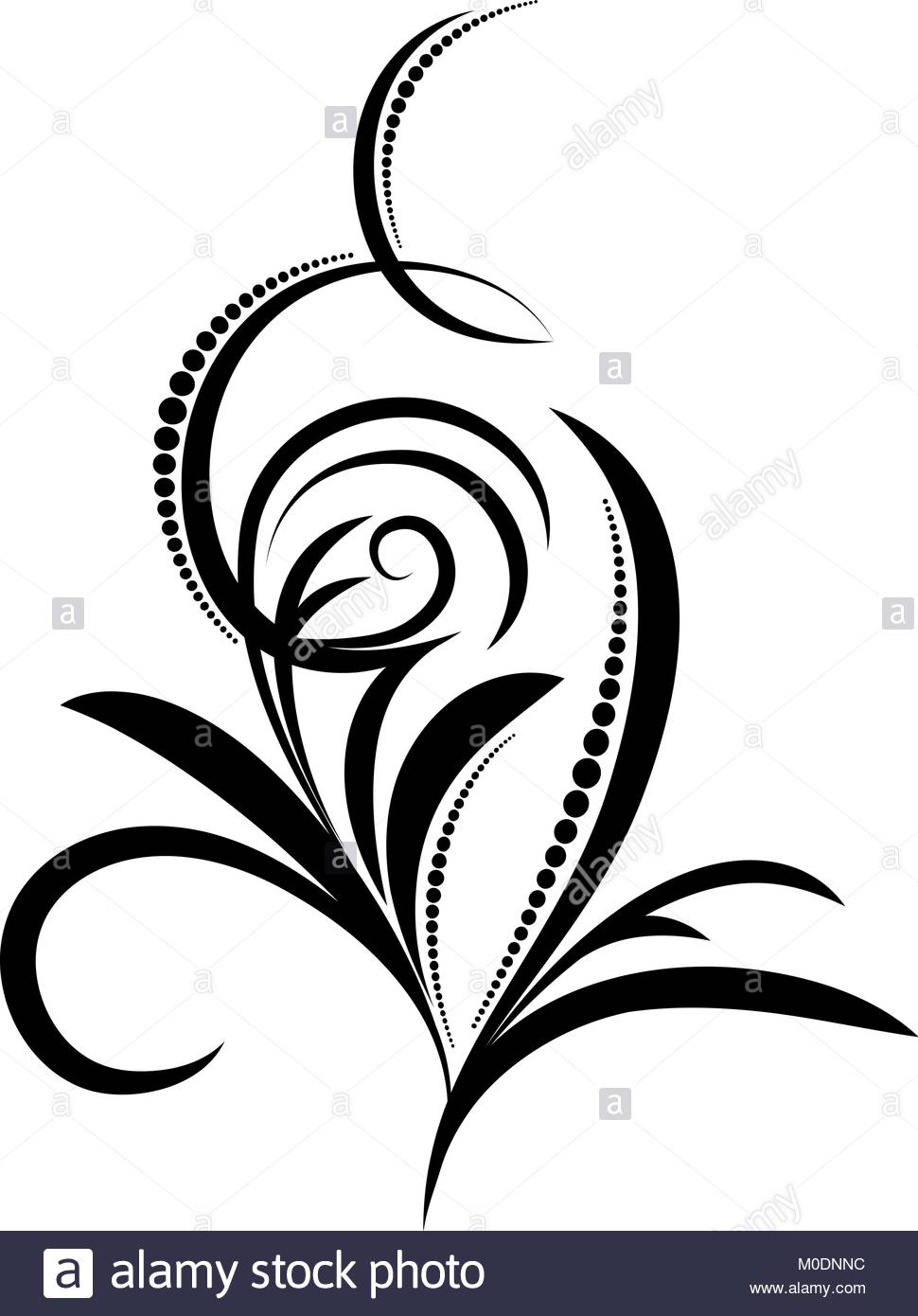 970x1390 Pea Plant Black And White Stock Photos Amp Images