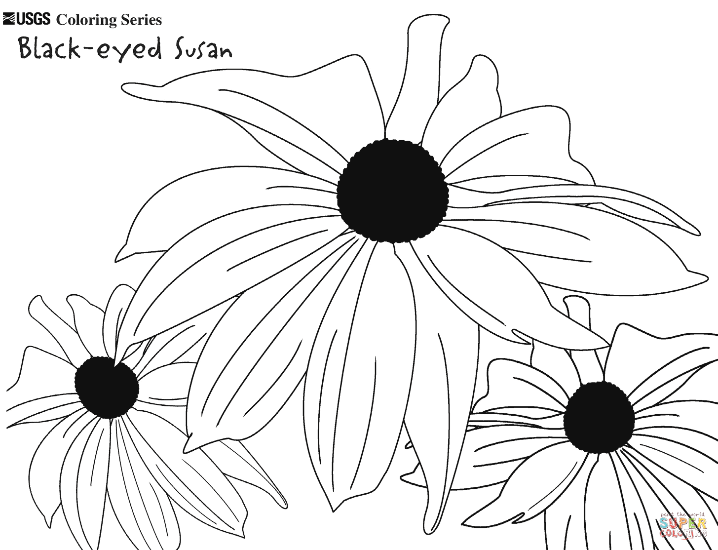 1455x1114 Image Result For Colouring Pages For Black Eyed Susan Flowers