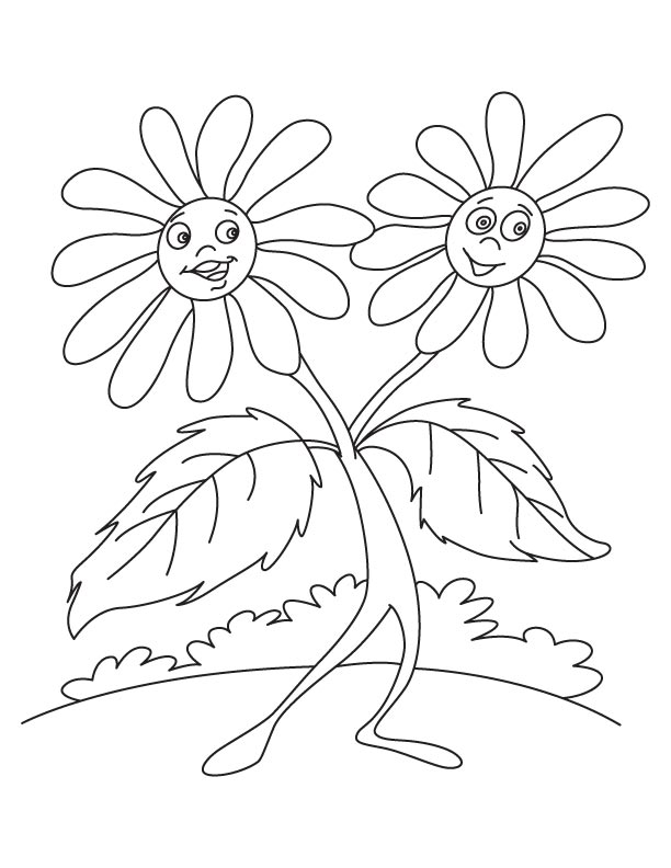 612x792 Black Eyed Susan