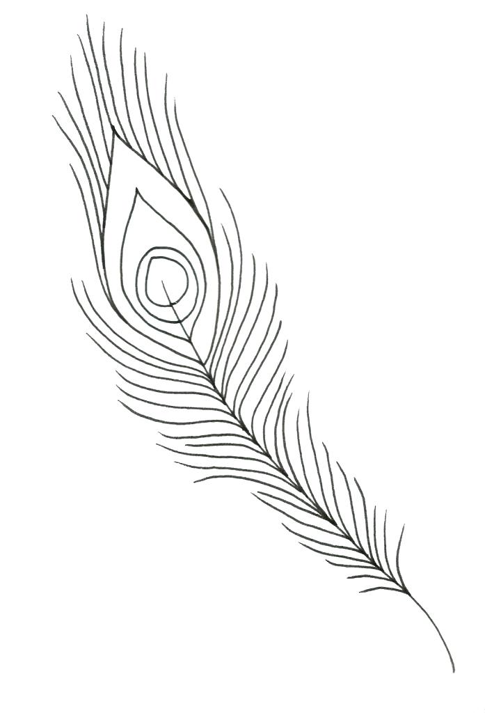 697x1024 Feather Coloring Page Peacock Feather Drawing Black And White