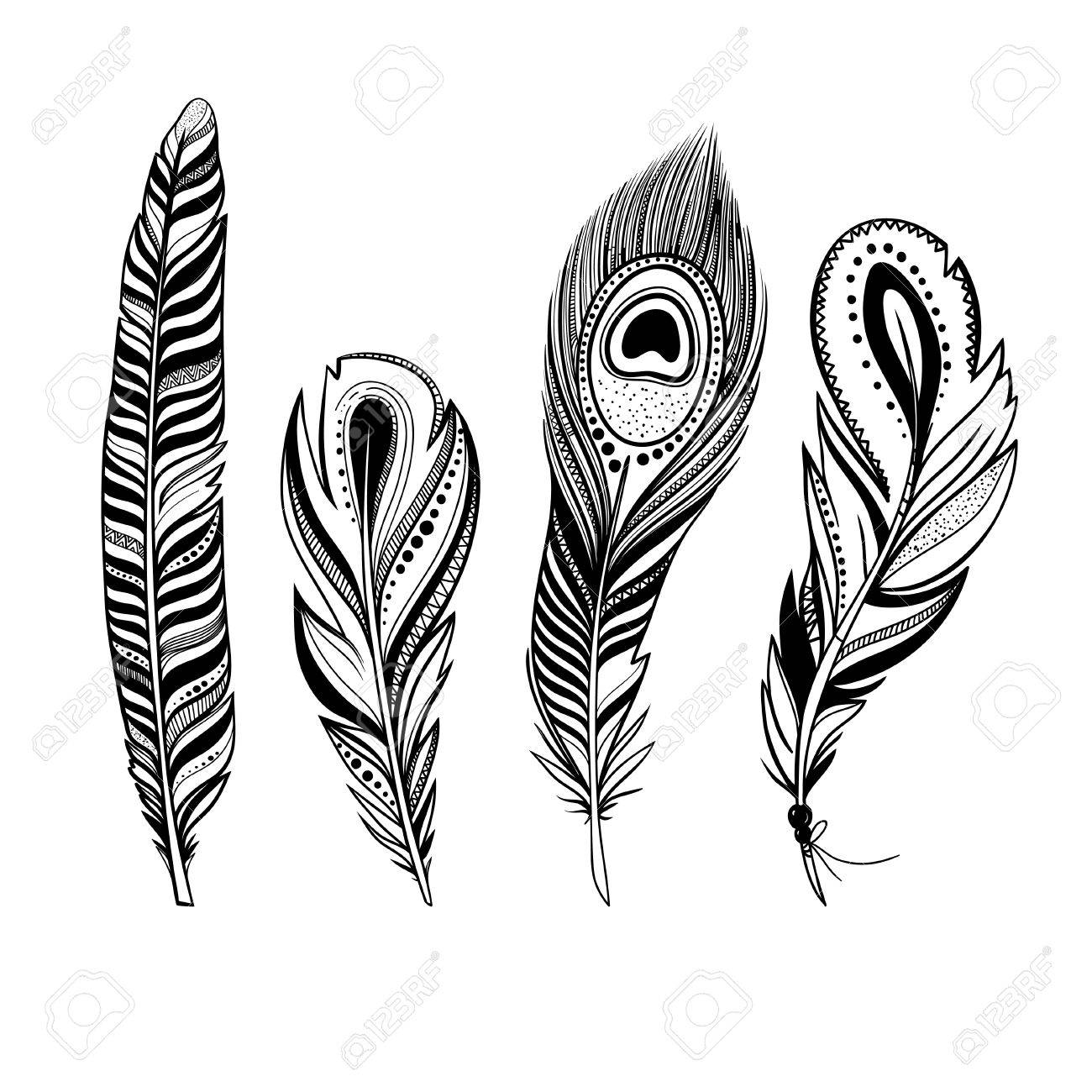 1300x1300 Vector Feathers, Hand Drawn Decorative Bird Feathers