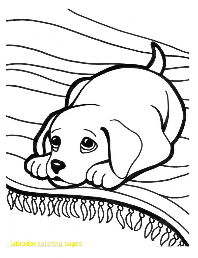 785x1024 Labrador Coloring Pages With Black Lab Coloring Pages 4109