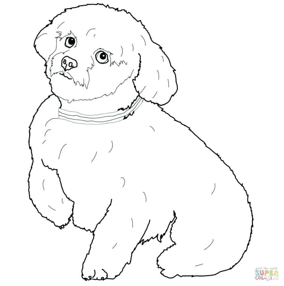 948x955 Coloring Poodle Coloring Pages Fresh Black Lab. Poodle Coloring Pages