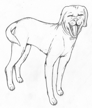320x374 Labrador Drawings On Paigeeworld. Pictures Of Labrador