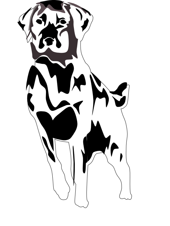 555x736 Clip Art Black Lab Black White Line Art Svg