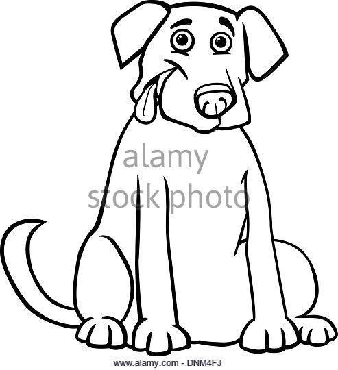 493x540 Black Labrador Stock Vector Images