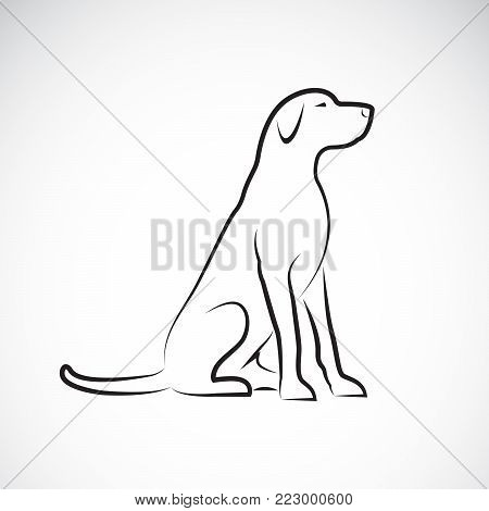 450x470 Labrador Images, Illustrations, Vectors