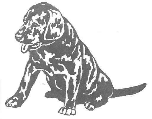 515x403 Labrador Retriever Page