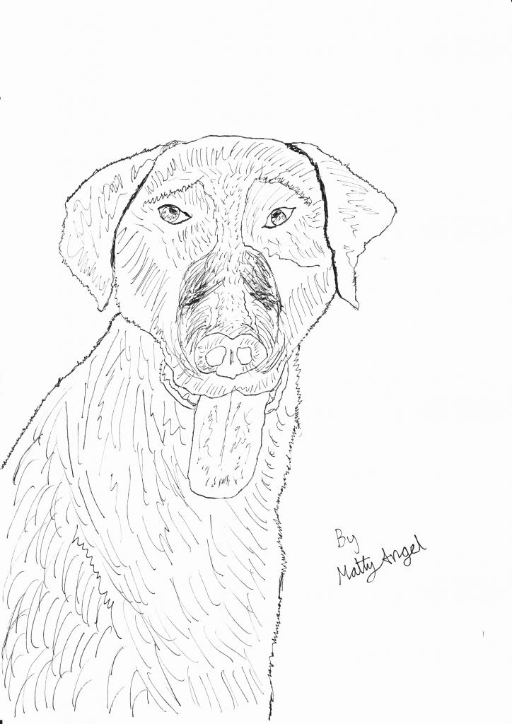 724x1024 Wednesday Art Adventures! Detailed Animals!