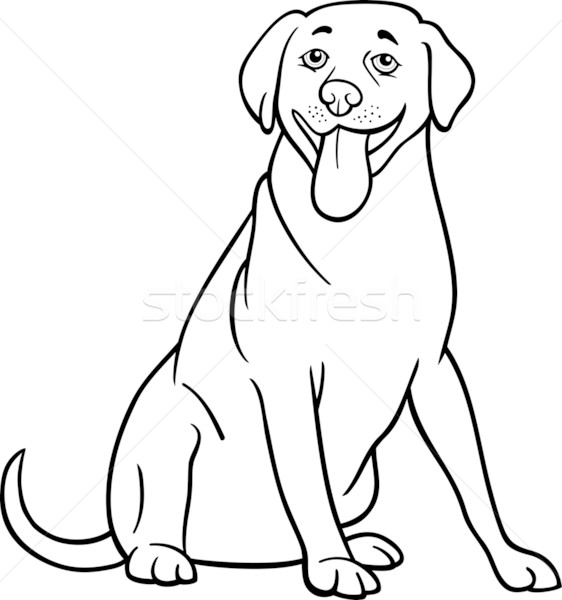 562x600 Labrador Retriever Dog Cartoon For Coloring Vector Illustration